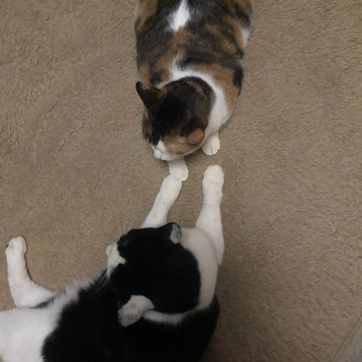 775140ab 1794 4f51 be65 c9b36397b5a1 1613572943960