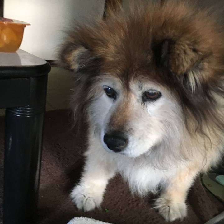 77514c14 684b 41f1 8495 39a0823ed5d0 1630235454019