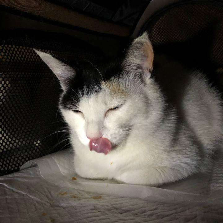 775181b9 803b 4906 9997 d4f3bf867d4d 1621253331346