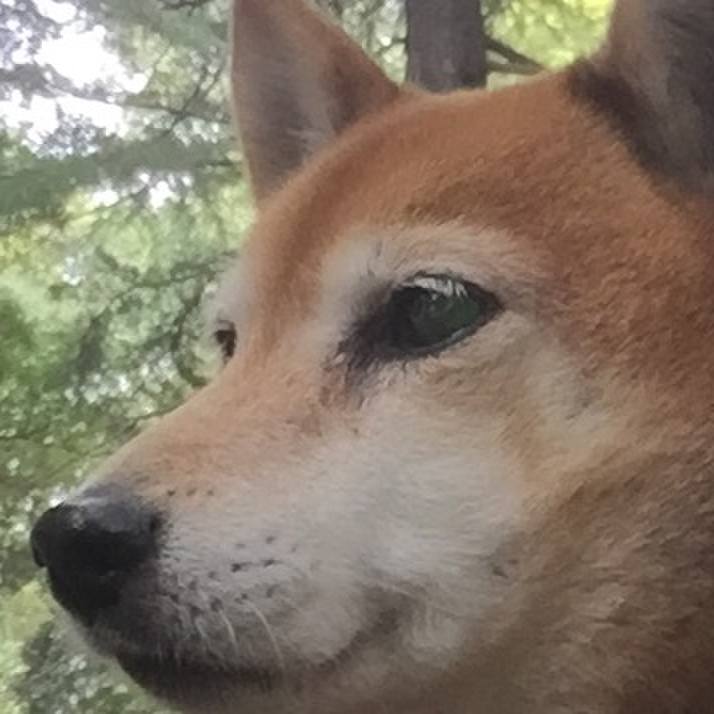 775182f2 d823 4d62 bbcb f78699f5b726 1618564946111