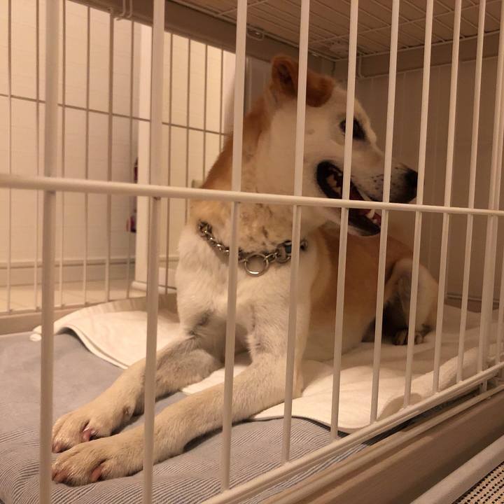 77519ae0 03a5 4a46 a5fc 72b7dc8f0a14 1623502374764