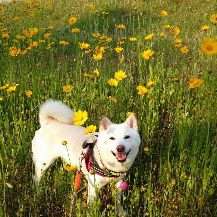 7751a846 a4b3 459d 926c 13034c9743e8 1558863325442