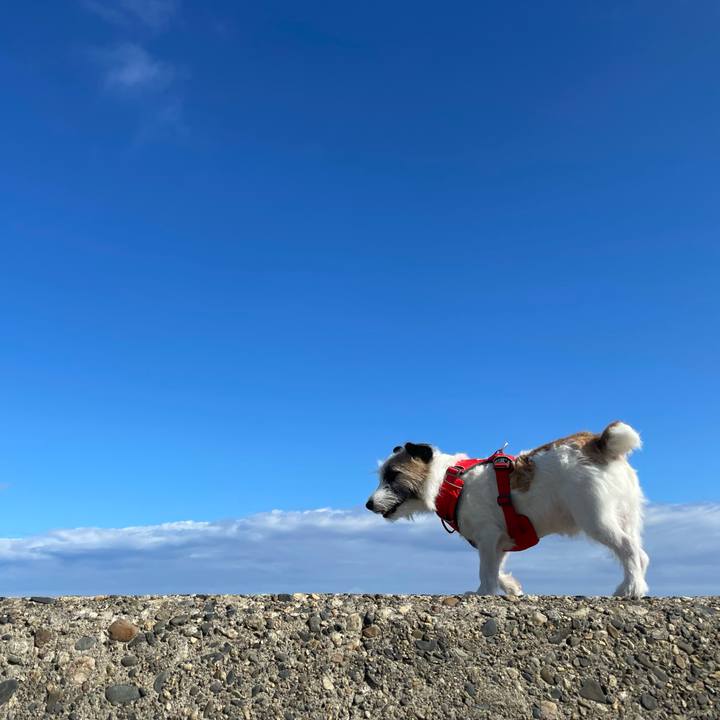 7751cd42 86e4 4ebd 8310 a99e2a1b89ab 1654732223908