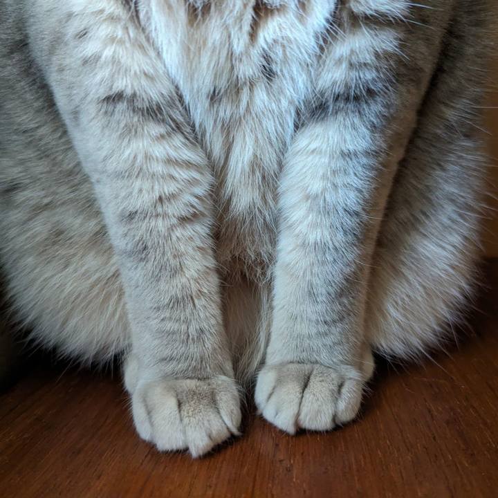 7751d20e e675 4428 993d ef2db8deb739 1707540135831