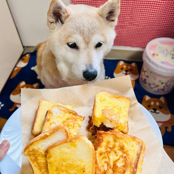 77521195 c8bb 4afe a261 b1d4ba5c3b30 1748676322276