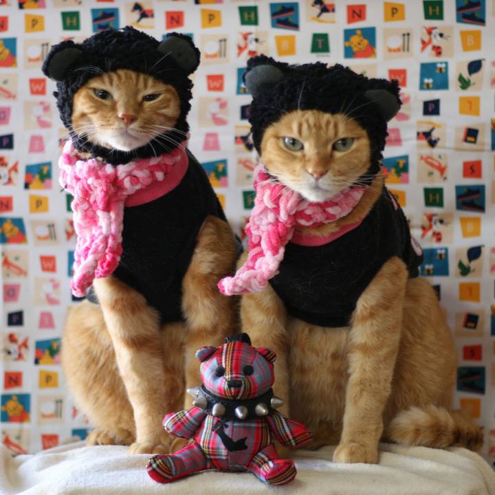 7752727e 6d4d 4da7 ae5e 00b2371e40df 1515217701129