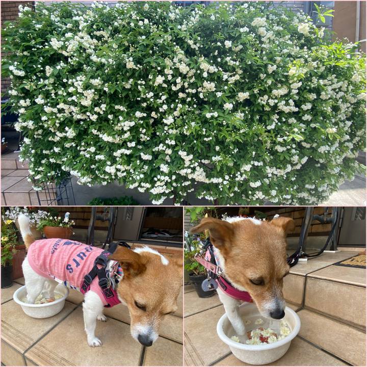 77527c1a 3fa1 4cd0 8570 a7500f898cb1 1651104901277