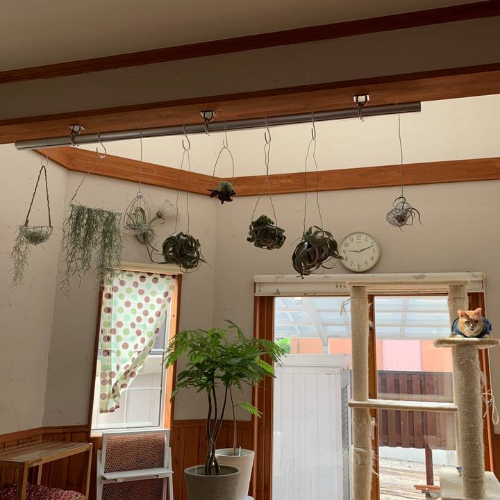 7752879a 32c5 4671 8459 9924604d78ac 1656980247961