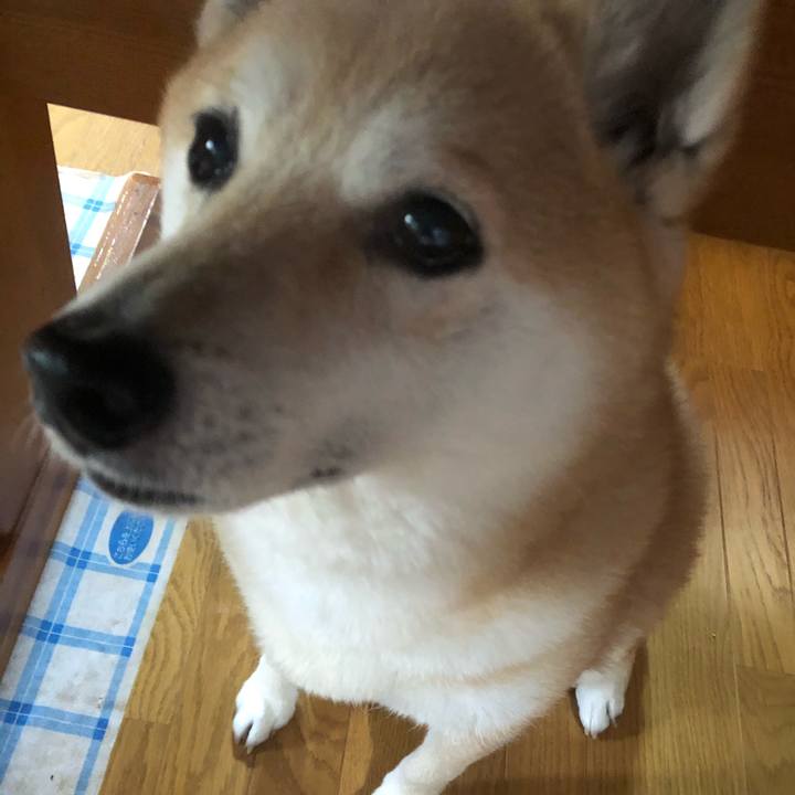 7752bd5a 0b5f 48a3 adc1 488c13371e69 1588035180176