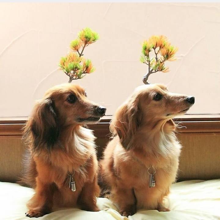 7752e679 0dca 49cf 81e9 19af93351cca 1763099234045