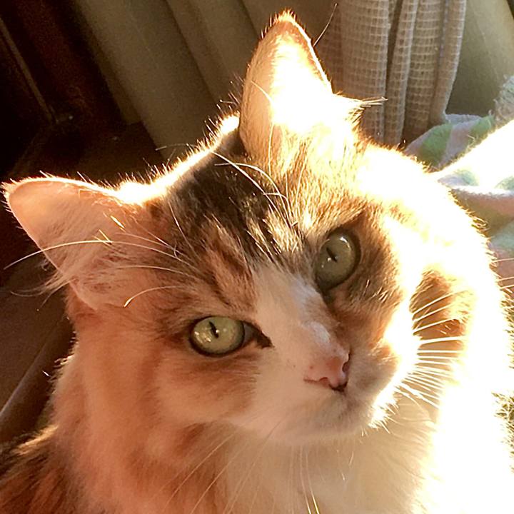 7752ffec 07c6 4b67 b74b b837d5d4dedb 1629337749412