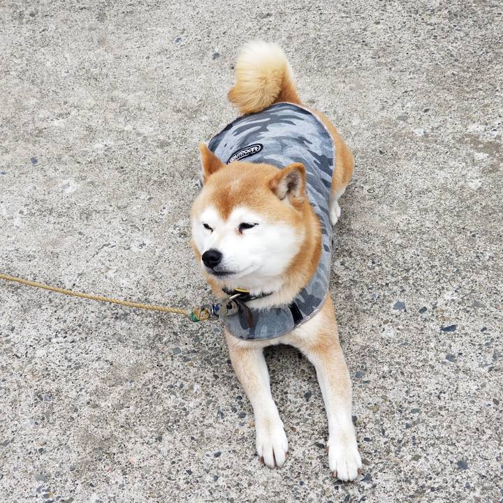 77531c17 484e 476f a705 9676bbe62f15 1615167872610