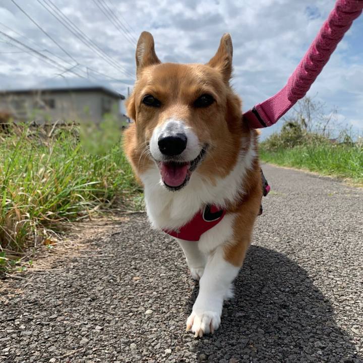 77531d5f f9a5 474e a2da 417827ee45bb 1680943667141