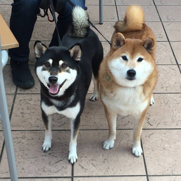 775330bb f0c0 4605 abed 52e9be865668 1605084907488