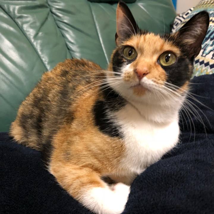 77534a9e f75a 42a7 b686 ba9a2a2f246c 1527434539686