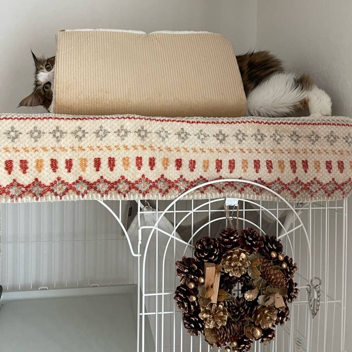 7753714f 8421 4001 b39d 73521141b34f 1700693707384