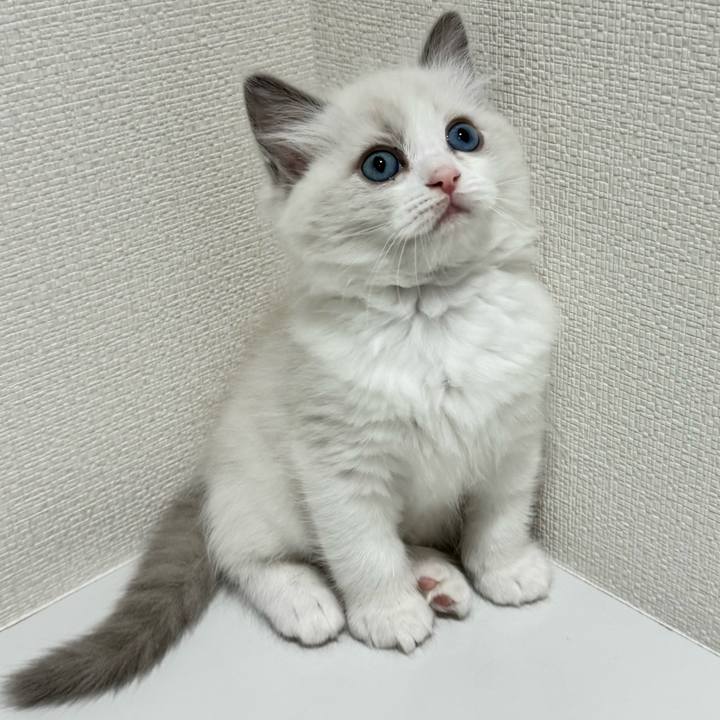 77537f4e 24b3 411e bdd6 aac8927f40ba 1737587757869