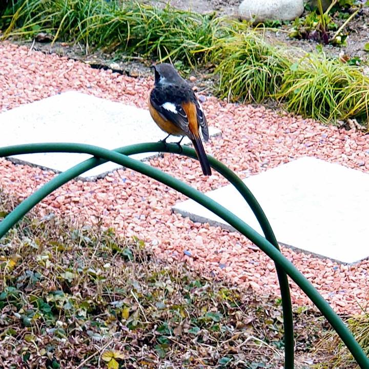 7753a229 c62b 4765 a900 b98062d50f15 1642920305712