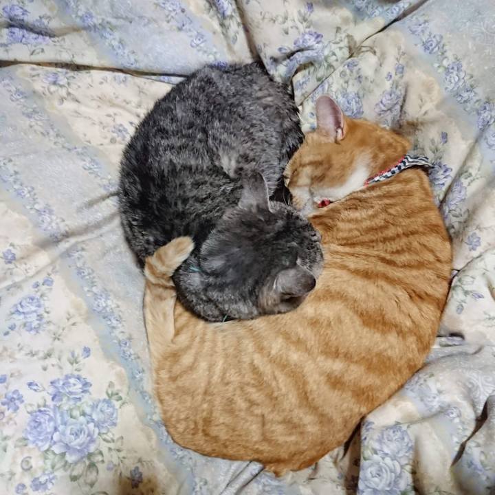 7753b2e1 c1dd 4b0a 8a84 4f2587328c37 1607858828470