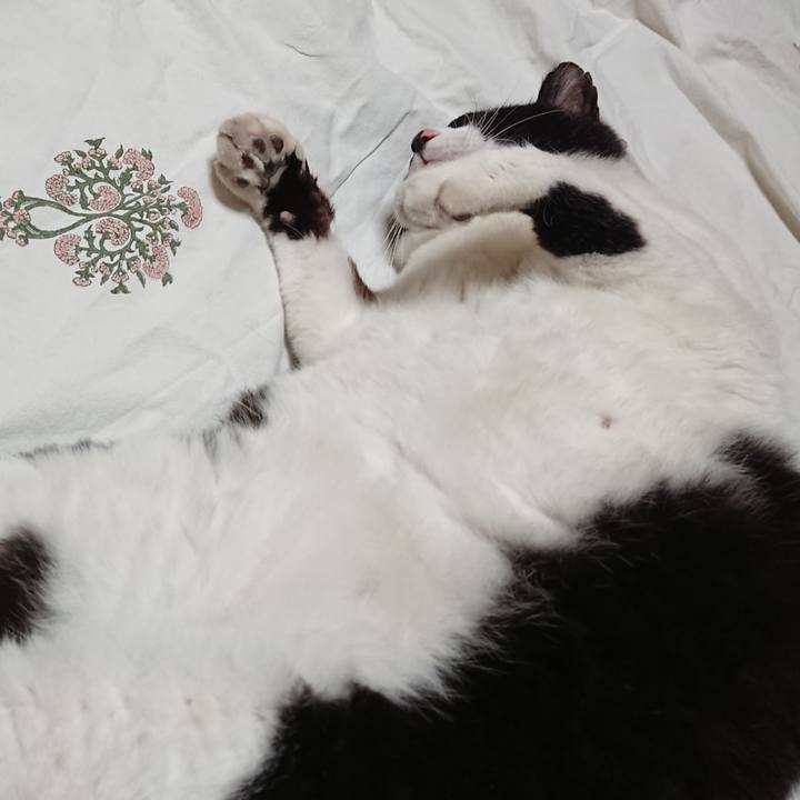 7753cdc6 68e5 47ce 949a f1e1d790b7e1 1633512091254