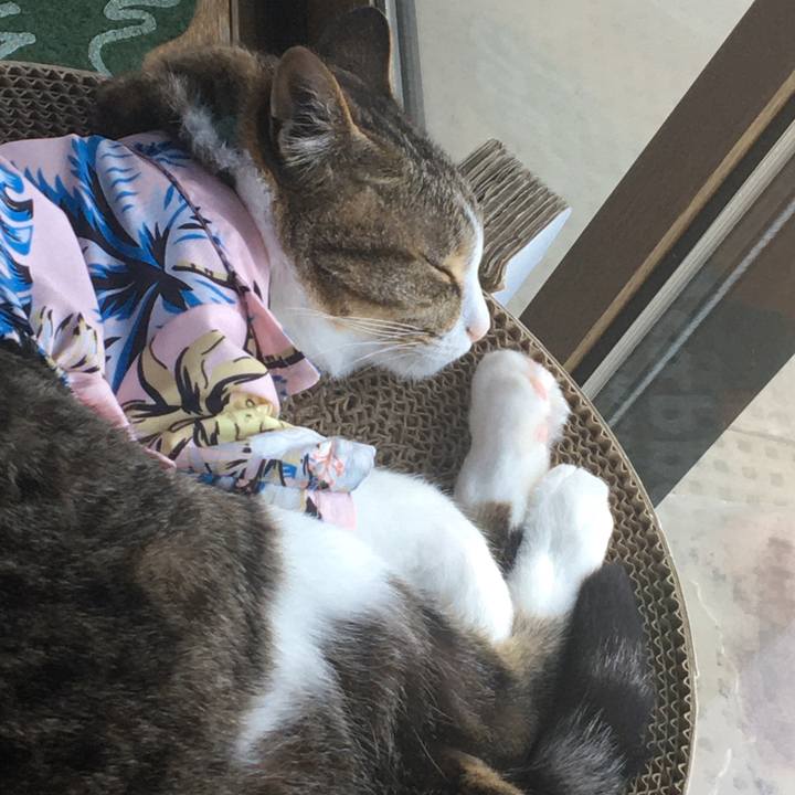 7754174f 5a31 480f bb53 54a412b08935 1695365272814