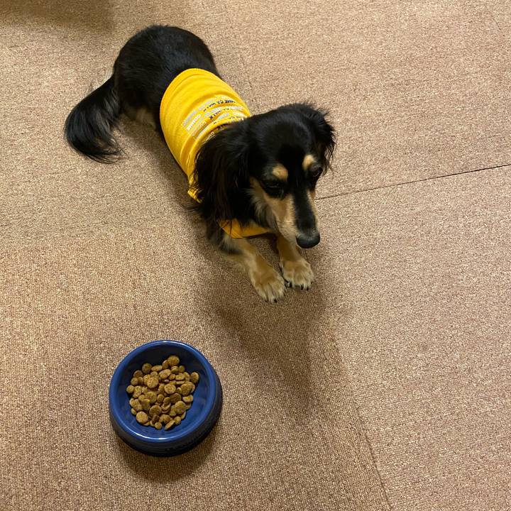 77542797 d9e8 4c03 82d2 fb2c93073b51 1733463458300