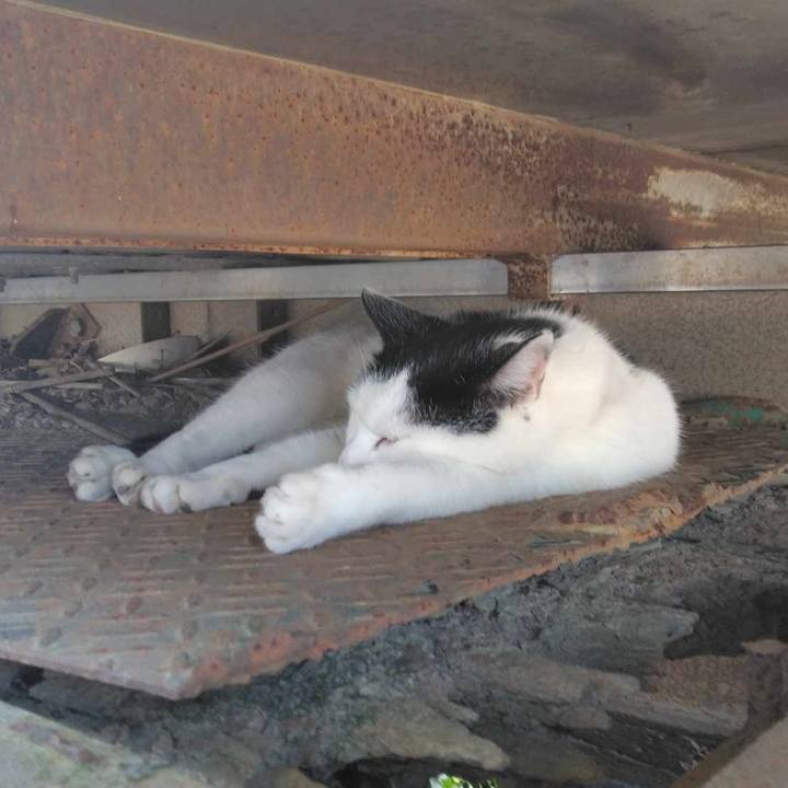 77544b69 5d5c 4e1d 9a7f 04dfae9a5114 1726626290382