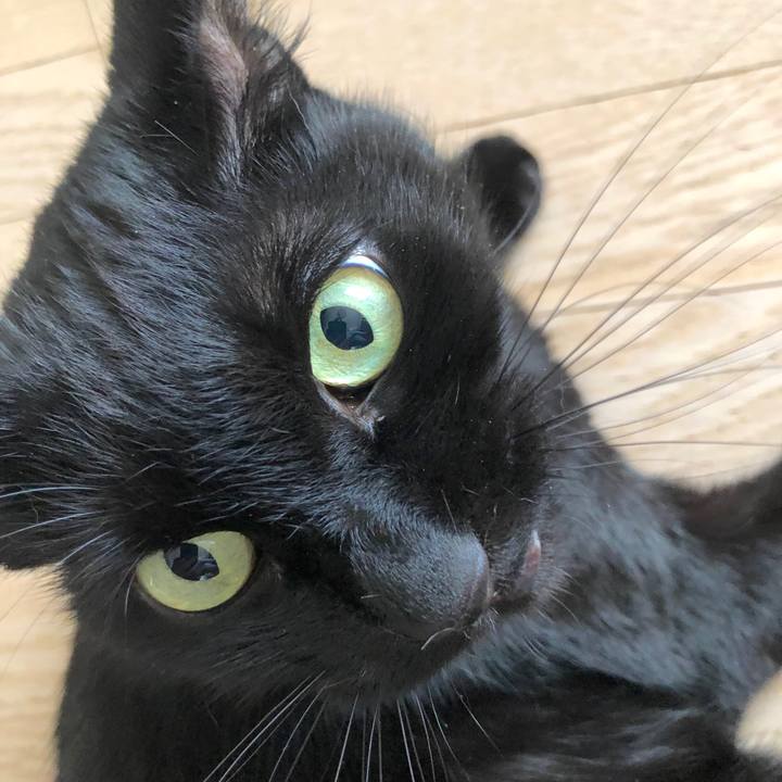 77545d87 49cf 4ad4 9099 b576d7f44d1c 1581732695842