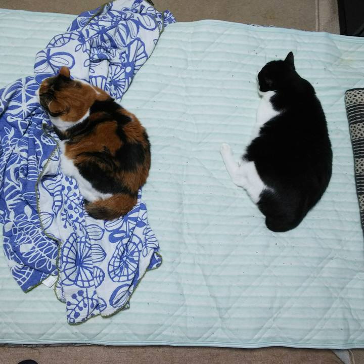 775466fb 3f8f 4c9b b816 03924dfd9b63 1537218936111