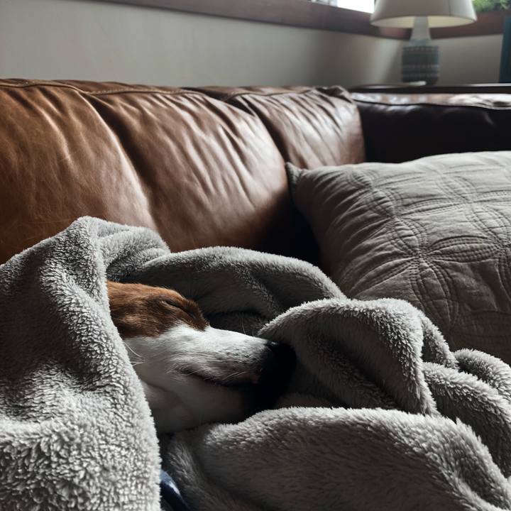 77546d3f a218 4020 83d8 c32ec661dac5 1544772752471