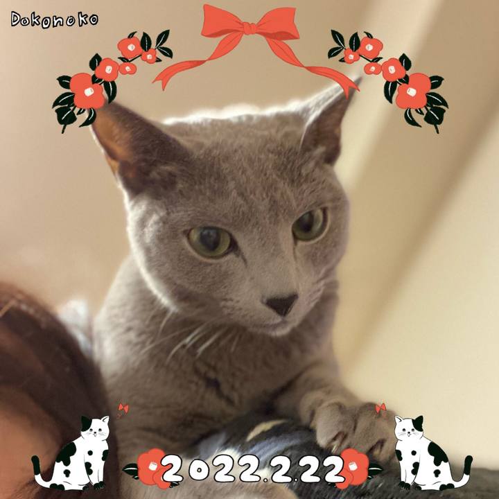 77547f8e 1259 4234 a38a d4a1b248374c 1645532954624