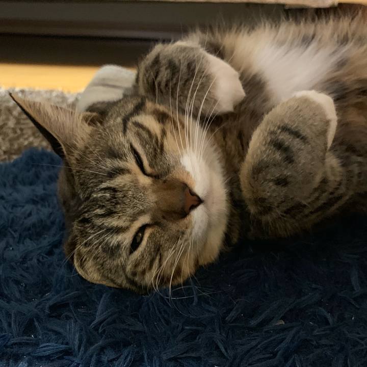 77548633 5124 43ce b8ce 39a25a27892f 1550807568021