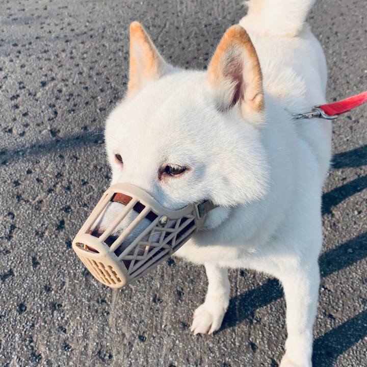 7754a1ea 9078 4ea3 8fec 4534308da6b1 1593980905176