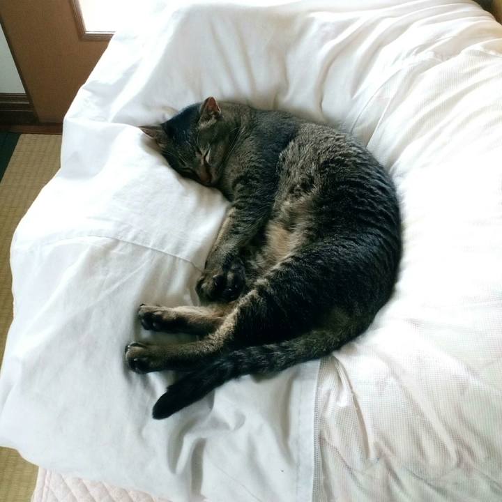 7754a3c3 cdb2 40b4 8e44 1cba14694fd0 1561965563311