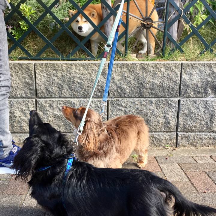 7754c3f4 4abe 4f4c 9628 066902f455c4 1526777635596