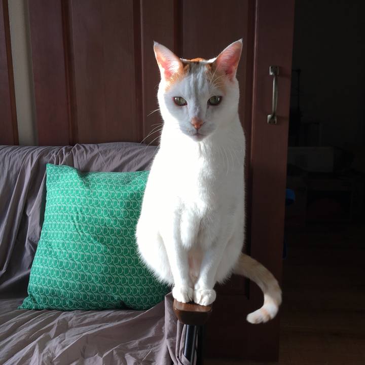 7754db3a 4105 43f6 ac32 aaf2dd3e0ee2 1512602506290