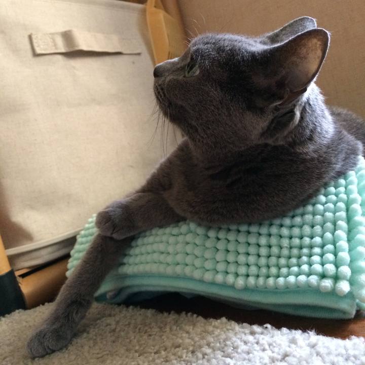 7754dccd cd6a 47ed b13b e666dd52409d 1537224172252