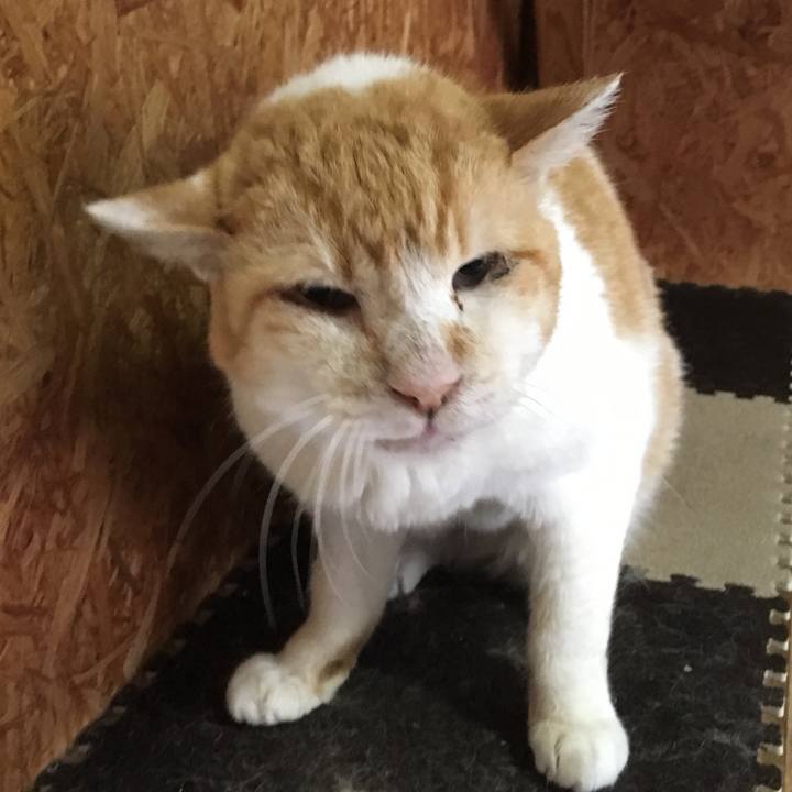 7754f17c 1162 47ee a5b0 00ae47247f02 1528878449970