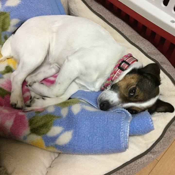 77550b25 72ed 43ae af91 c25ff686002a 1522323736593