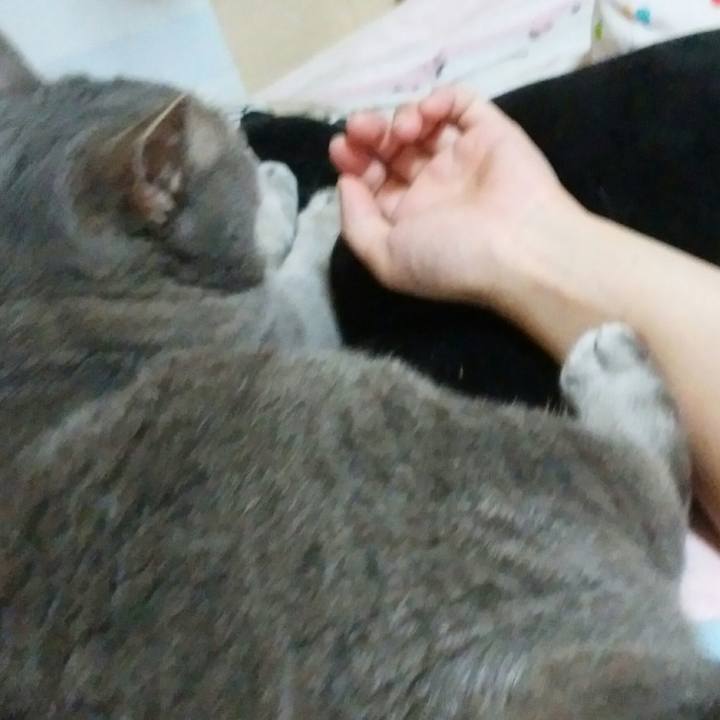 77550b7f 95b1 41e5 9107 20c578128da1 1595761017652