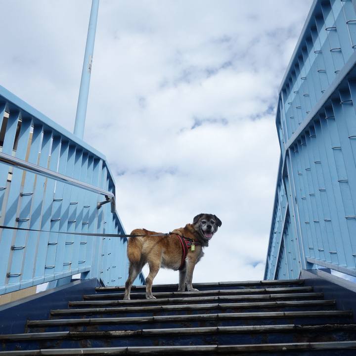 775511de 1135 43c3 9803 2c3237598ced 1536453412491