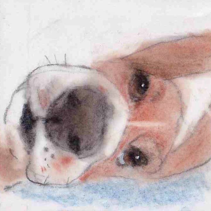 77551e80 4fd5 415e ac27 7894217aa55c 1658020815040