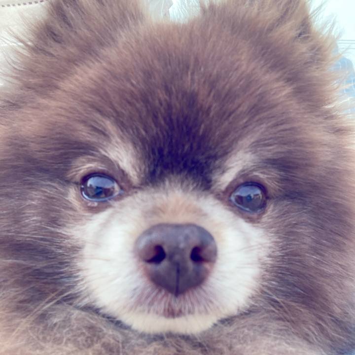 77552f0c 0085 4d51 bd97 b1e13a31b0c5 1650241894630