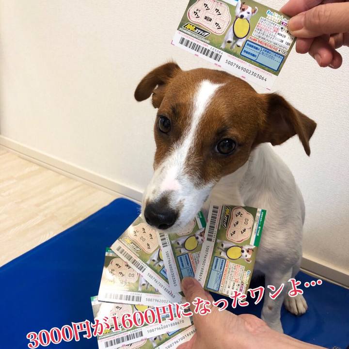 77555cc3 a5c0 472c 93ee fdc5ca5c684b 1560257128880