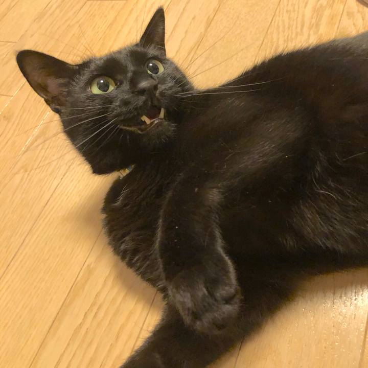 7755b9e7 5e3a 4f58 b684 c91682666636 1522754119216