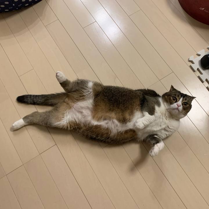 7755cb3d 70f0 44cb aca4 337e1e69e3ce 1589470635242