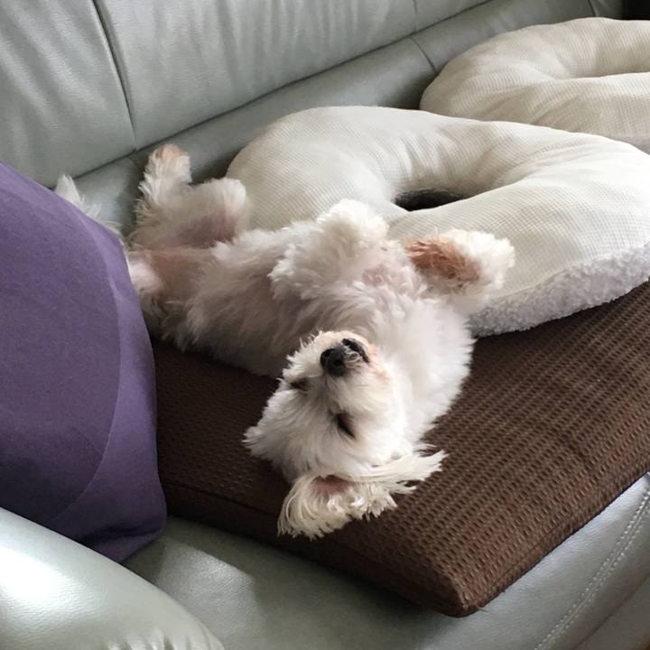 775608ec ef5a 4950 8bd0 e918655dbad0 1598054244031