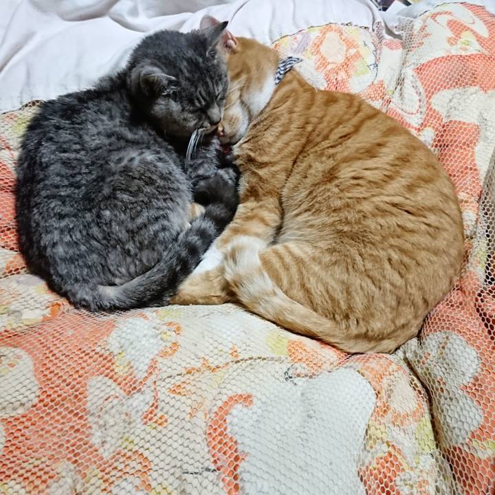 77561fb0 c0db 4a4d ad89 1cd44f4fd64d 1573996189914