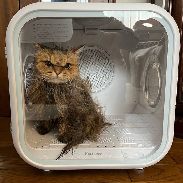 77563c86 02a1 45bd 8386 ac4ff1bc14aa 1680403456580