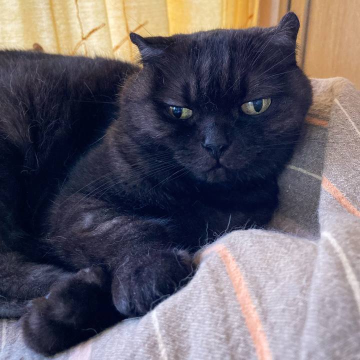 77564c43 7929 4372 bf81 8b5006331e31 1600564883244